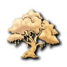Sacred Grove