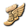 Turnshoes