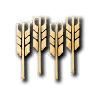 Farm