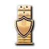 Desert Citadels