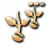 Fertilization