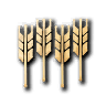 Farm
